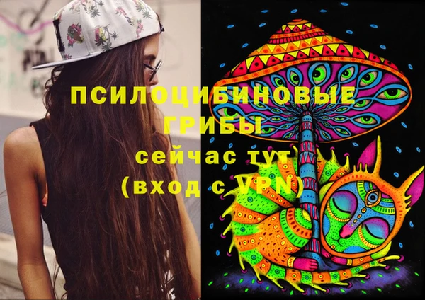 spice Алзамай