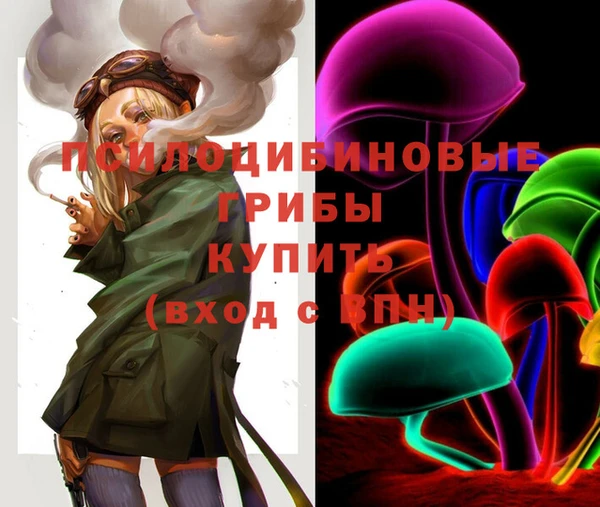 spice Алзамай