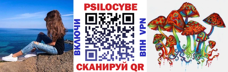 Псилоцибиновые грибы Psilocybe  Удомля 