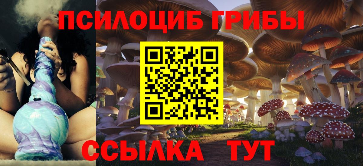 Псилоцибиновые грибы Cubensis Удомля