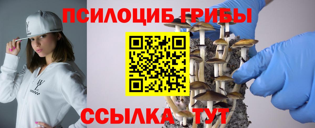Галлюциногенные грибы ЛСД  Галлюциногенные грибы GOLDEN TEACHER  Удомля  Вход с VPN 